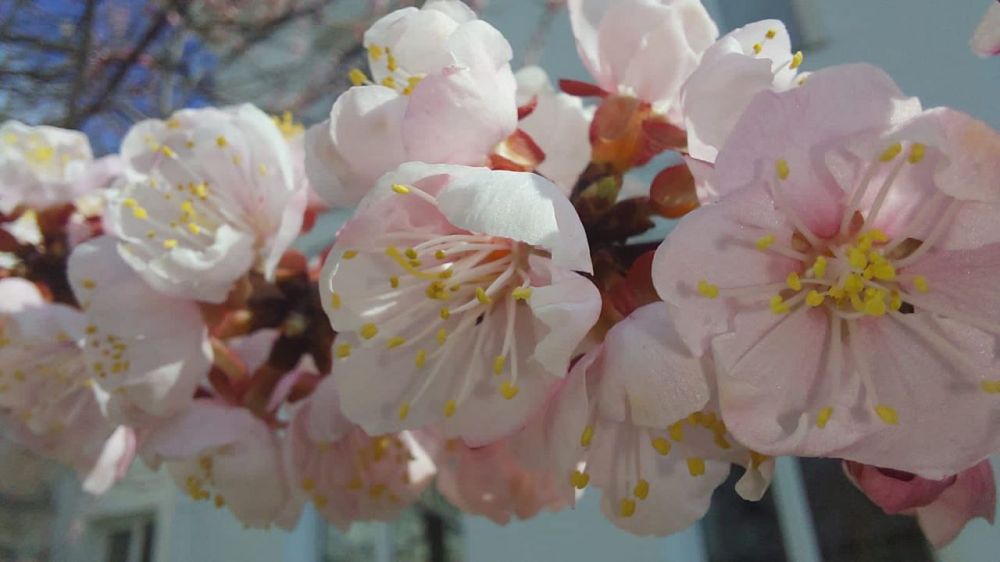 � ������ �����, �����������!