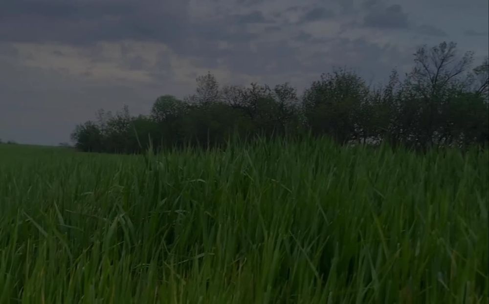 Начинаем утро воскресенья с музыкального подарка от Марьяновского Дома культуры