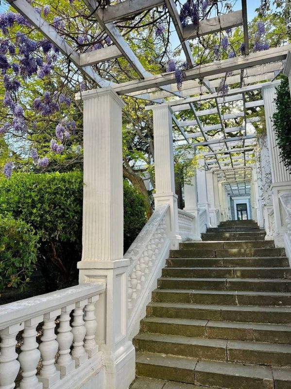 ������� �������: �� ����� ������ ����� � ��������� ����� ������ ��������