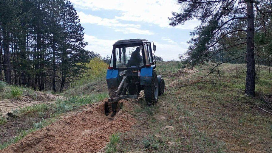 В лесах Херсонской области приступили к созданию защитных полос для предотвращения пожаров