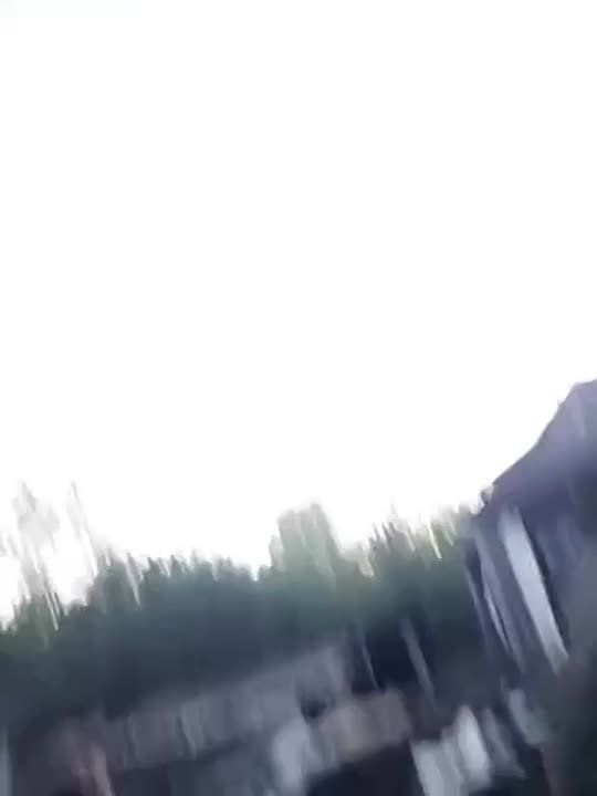 ������� ������ �� ���������� ������� 11 ��� 2025 ����