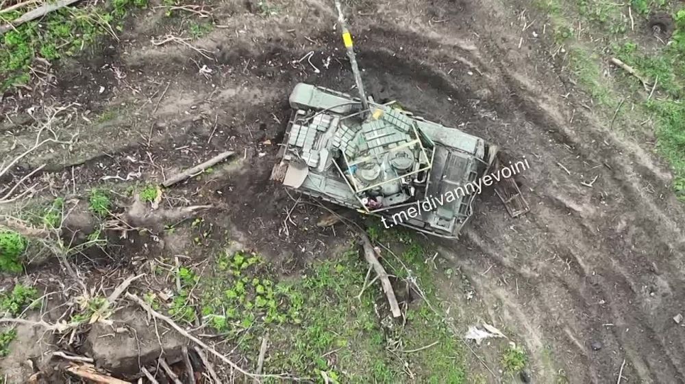 ���� �� �������: ���������� ��������� ���� ������� ���������� ���� � ������������ �����������