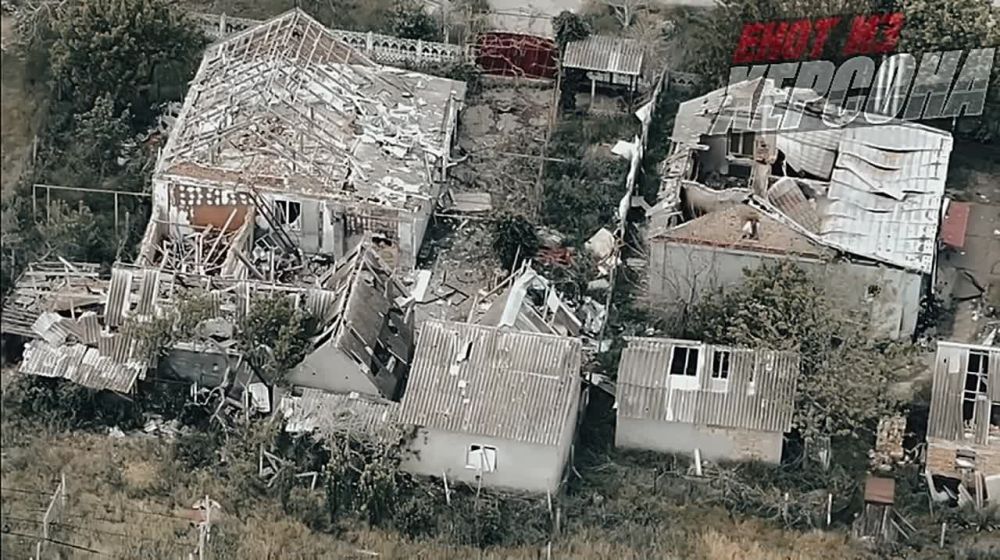 ���� �� �������: ����� 49 ����� ������� ����� � �� ���������� �� ���������� �����������