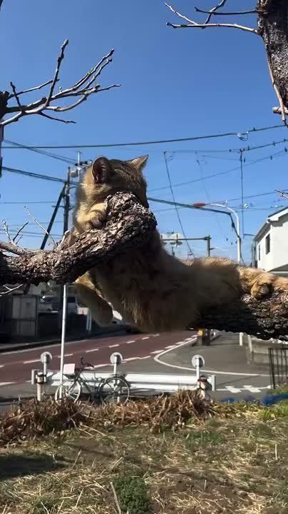 ���, ������, ���� � ���������!