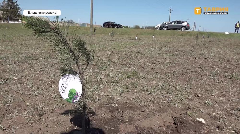 �� ������ �� ������������ ����������� ������ �������� "��� ������"