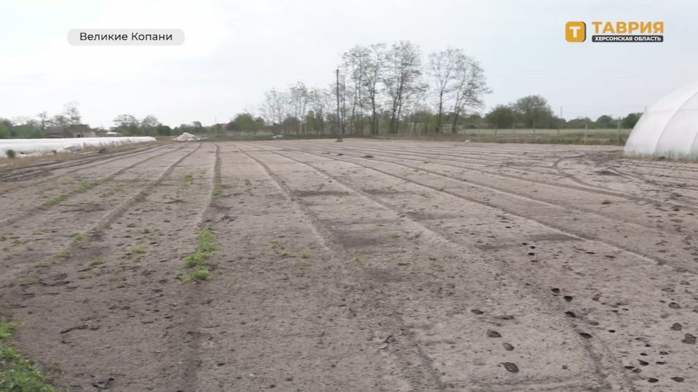 Великие Копани Алешкинского округа атаковали дроны ВСУ