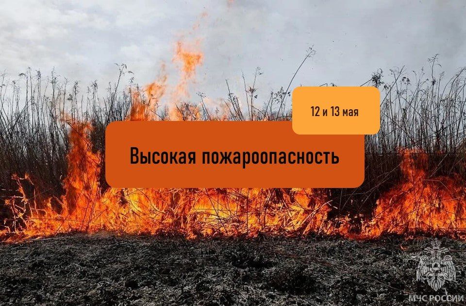 ������������� ��������������� ��������� �� ���������� ���������� ������� 12 � 13 ���