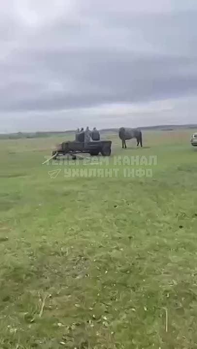 � ������ �� ���������� �� ������ ������� ��������� �� �������� ��������