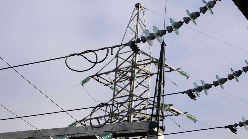 ������ �� �����: ����� 20 ���� � ��������� ����������� ����������