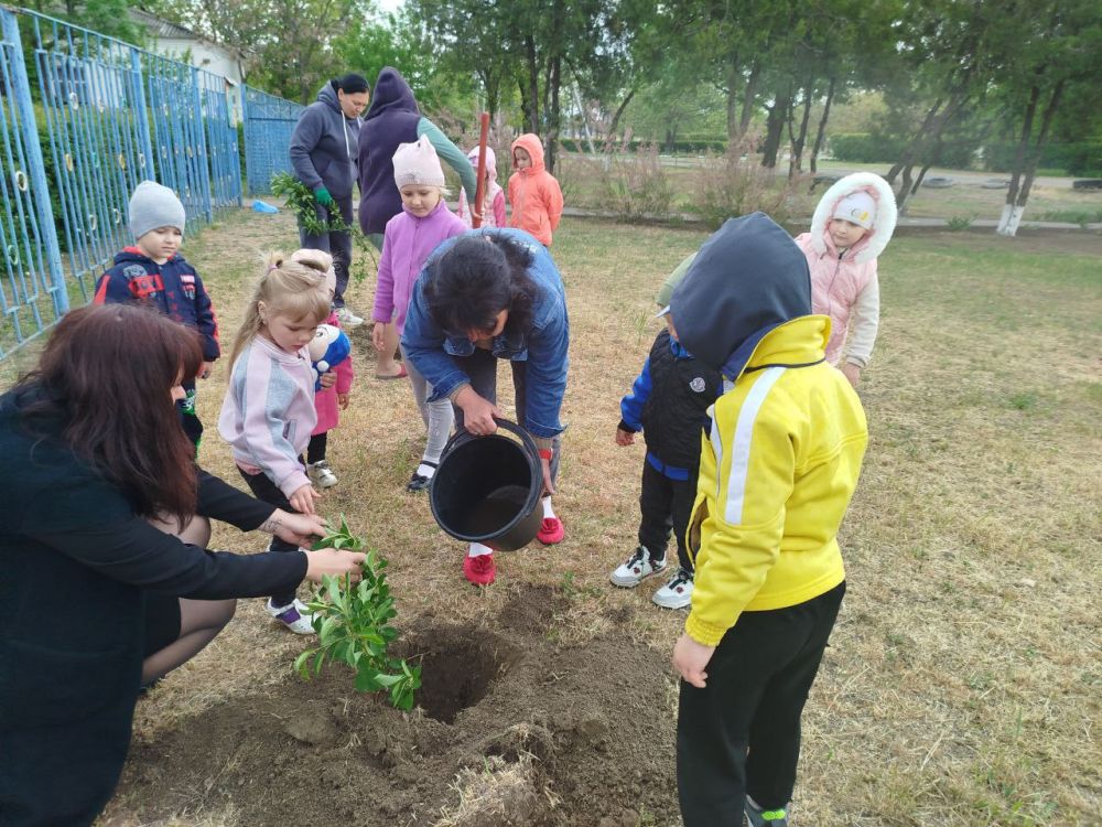 � ���� �� "����������� ������� ��� "��������" ������������������ ��" ���������� ������������ �������, ����������� ��� �������������� �����������