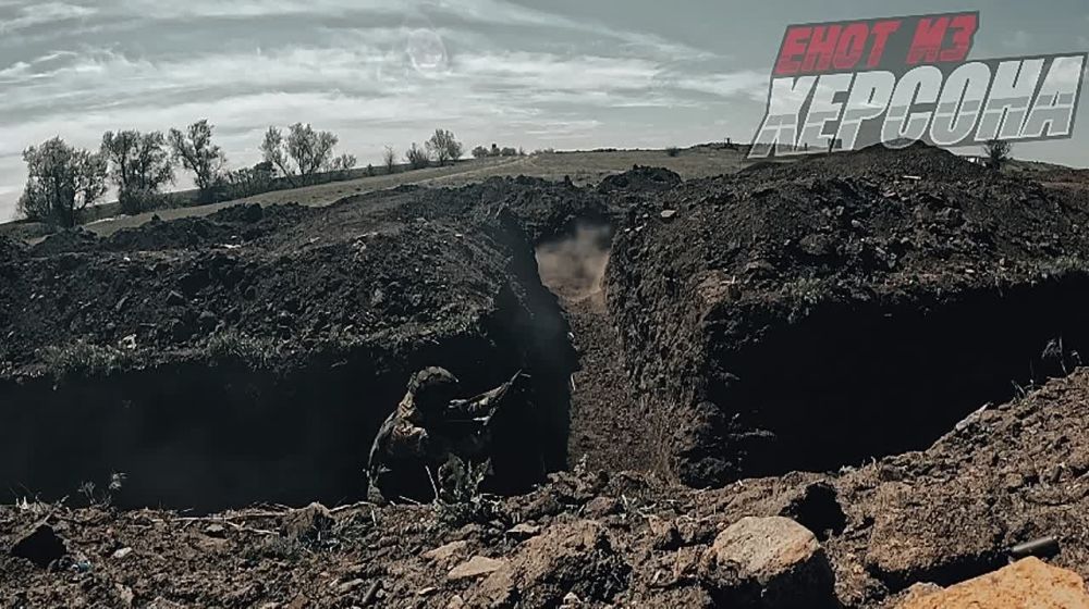 ���� �� �������: ���������� �������������� ����������� �������������� ���� ������ ������ �� ��������� � ���� ���