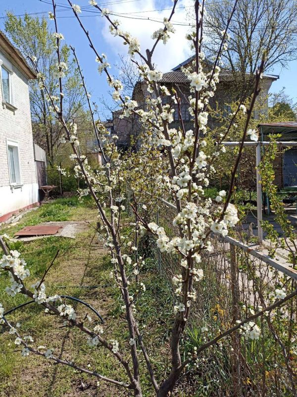 ������� ����: �������� ������ �������� ���