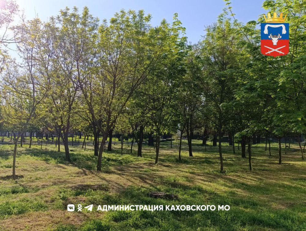 ������ ����, ������ ���������� �������������� ������!