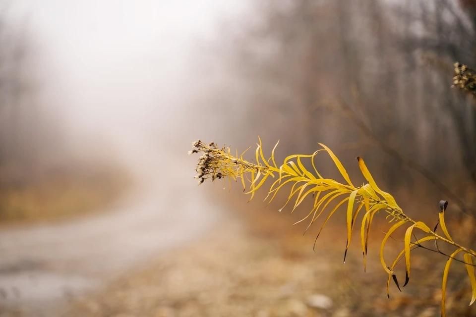 � ���������� ������� ������������ ����� � ����� 12 ���