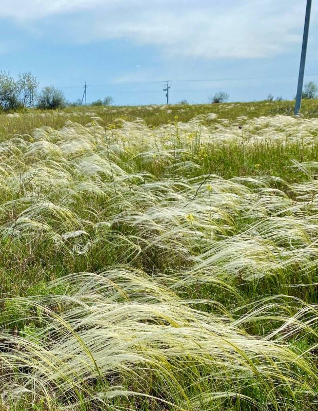 ������ ���� ����!. ����������, ������������ ������� ������! sd_kakhovka.khogov.ru