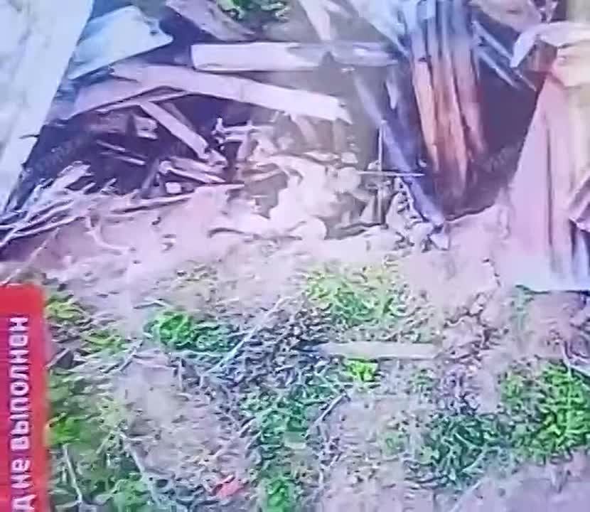 ��� ������: #������ �� ���� 12 ��� 2025 ����