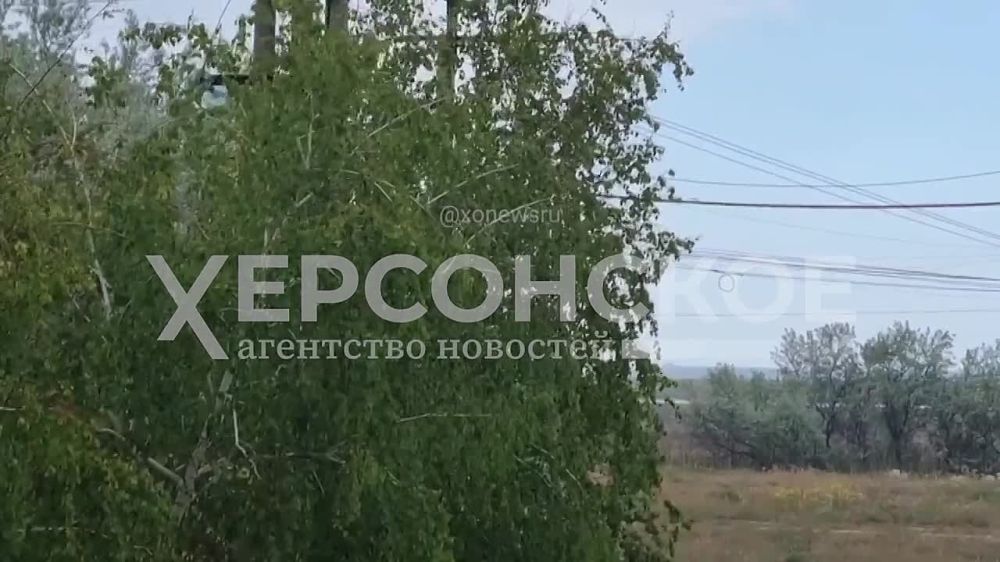 ������� ����� ������ �� ���������� �������