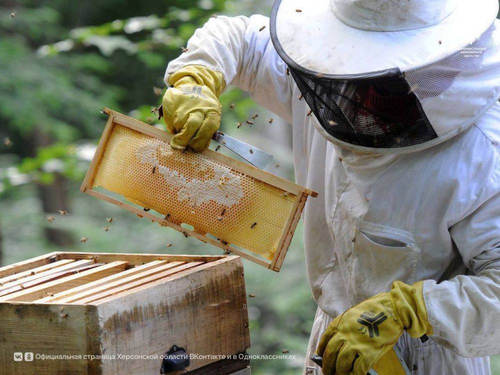 ���������� ��������� ������������ �������� �����