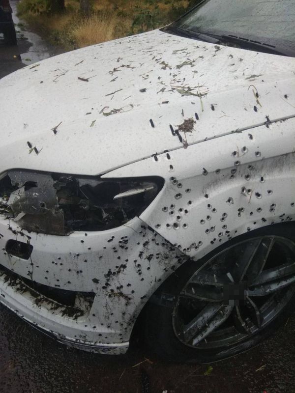 ��������� ���� � ������� ������ ���������� ���� ���������� ������� ������� �� 17 ���