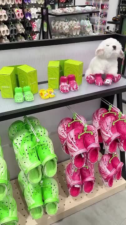 Через весь мир хозяйка везла своему котику такой прекрасный подарок