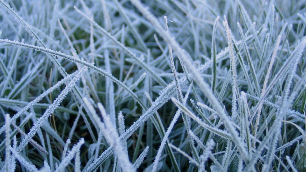 ���� �������������� ������ ��������: 14 ��� � ���������� ������� ��������� ��������� (����������� ����� �� -2�)