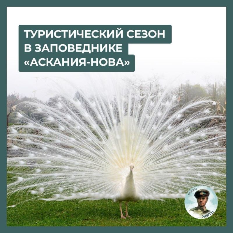 ��������� ����������� ����������� ��������-���� � ���������� �������