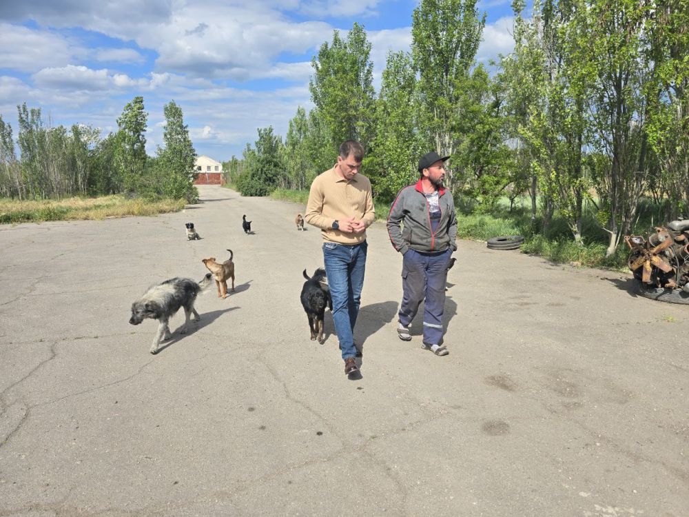 Рамиль Замалетдинов: В селе Новоалексеевка, образовался дома для животных