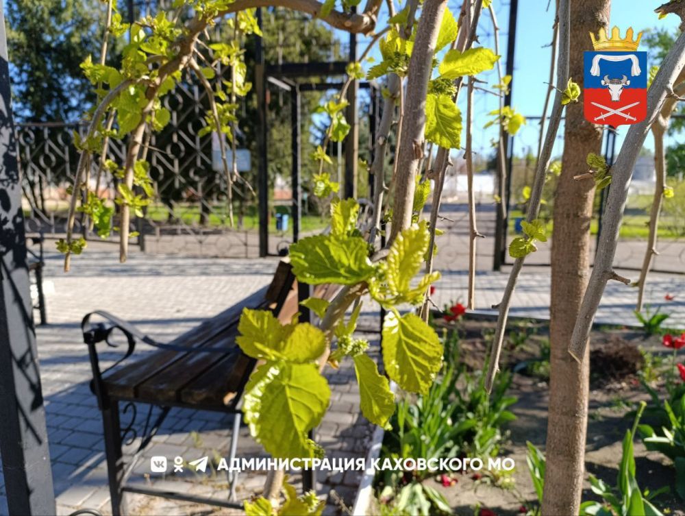 ������ ����, ������ ���������� �������������� ������!