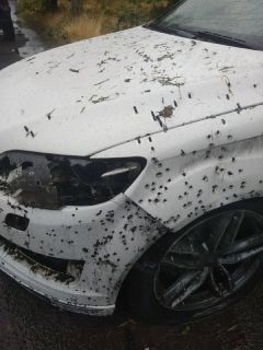 ��������� ������� ������� �������� � ������������� � ���������� ���� �������������� ���������� � 2022 ����