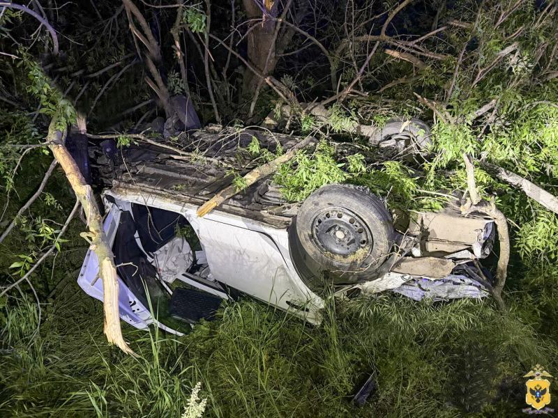 � ���������� ������ ����������� ������������� �������������� ��� �� ����������� �������