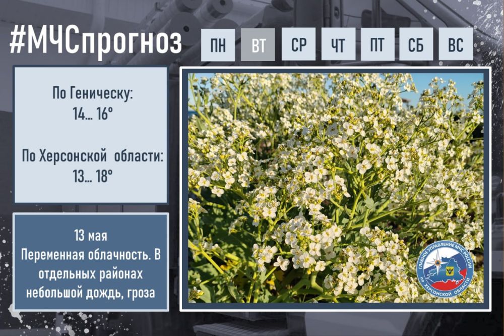 #����������. ��� � ������ ��������: