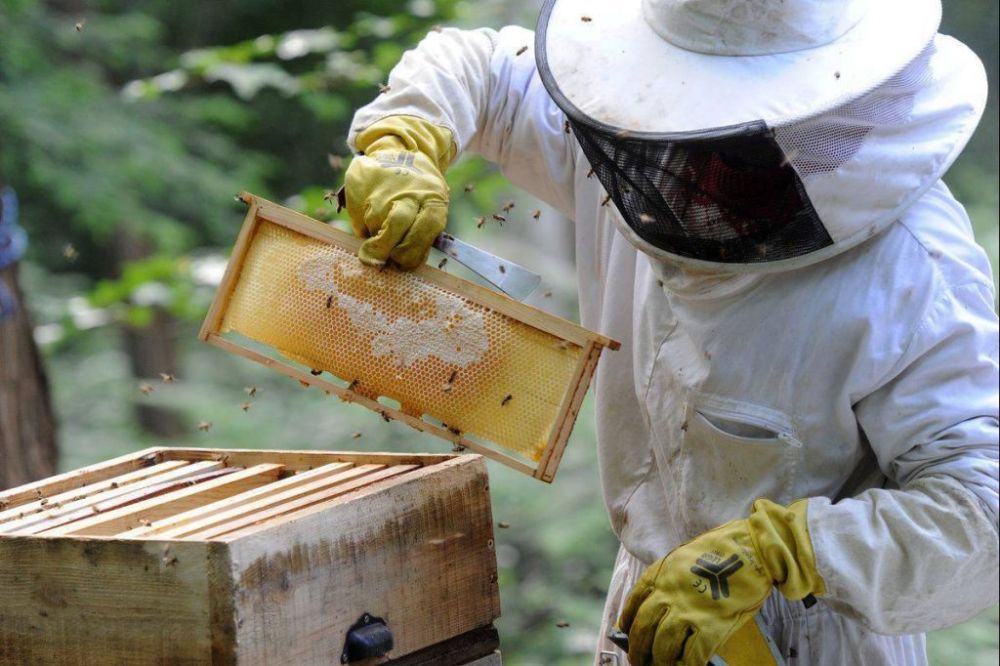 ���������� ��������� ������������ �������� �����