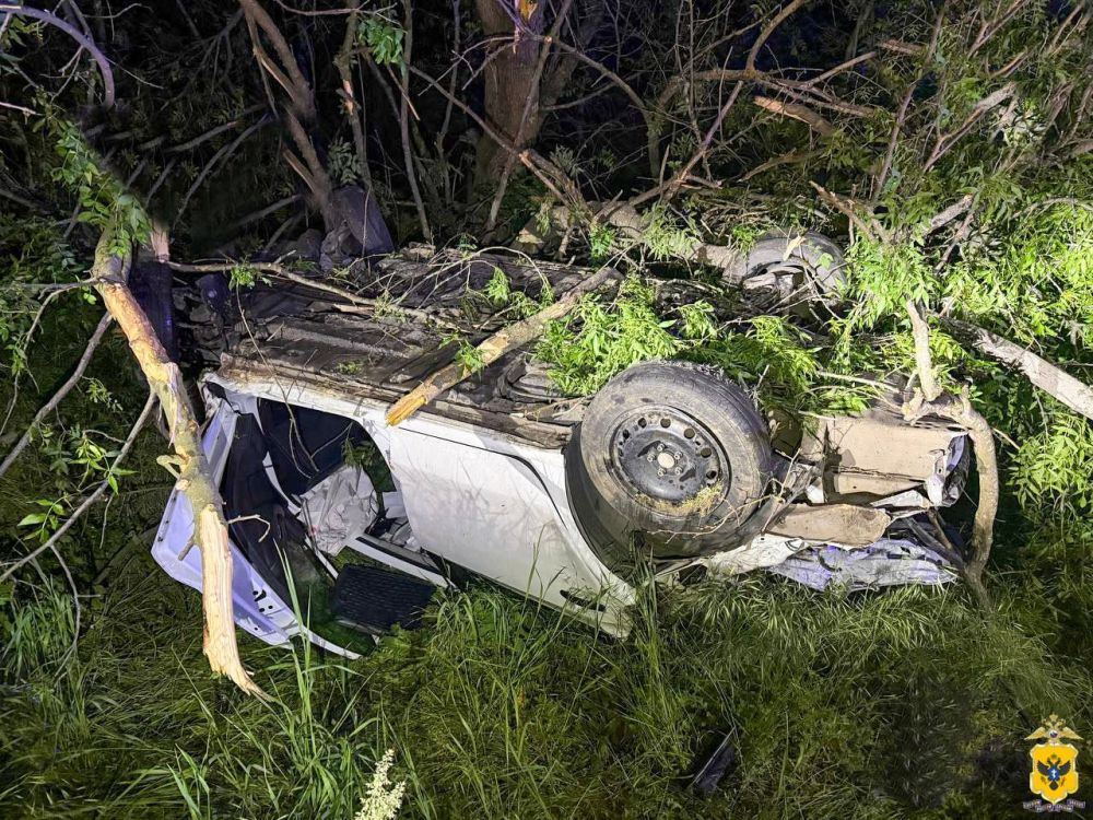 ���� ������� ����� � ���������� �������-������������� ������������ � ���������� ������