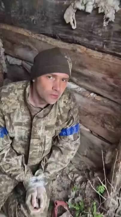 �������: ������� ��������. �� ���� ������ ����� �����, ��� ����� ����� �������� �������� �� ������� "������ �����"