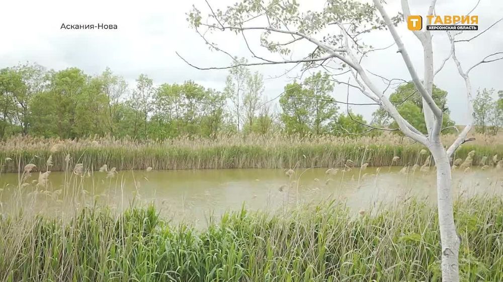 � ���������� ������� ����������� �������������� ������ ��������� ��������������� ���������