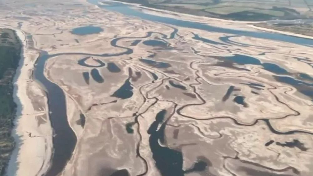 ������� �������: ����� ����������� ��� ������� ��������� ����� �������� �� ������� �������