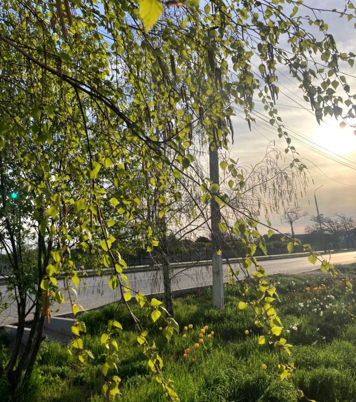 ���������� ���������� ������ �������� ��������� ���� � ����� ����� ������� ����, ����������� ������ � ������������!