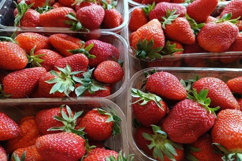 �� ��������� ����� ������� ������ �����, ������ � �����