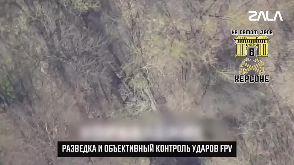 ���� ����� ������.. ���������� ������������� ������ "������" �������� ZALA ����������� �������� ����� ���������� ������ ���������� ������� �� ������ ����� ����