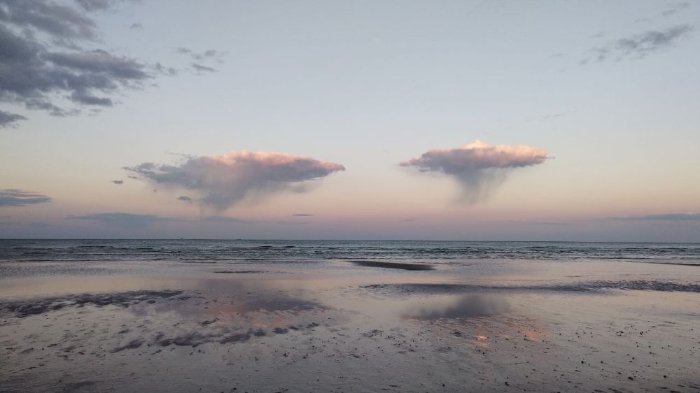 ����� �����: ���������� ������� ������. "������" ��� �������� �����