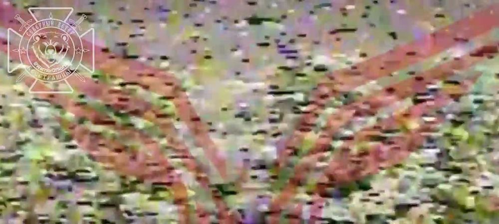 ���� �� �������: ��� � ����������� �������: ����������� ����� ��� �� ��������������� �������