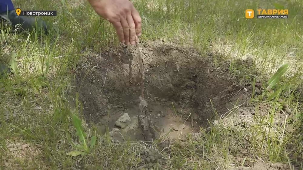 ����� 30 �������� ����� �������� � ������������ � ������ � �������� ������� ���������������