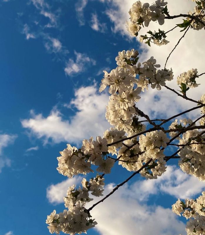 ������, �� �������!. ��������� �� ������.��