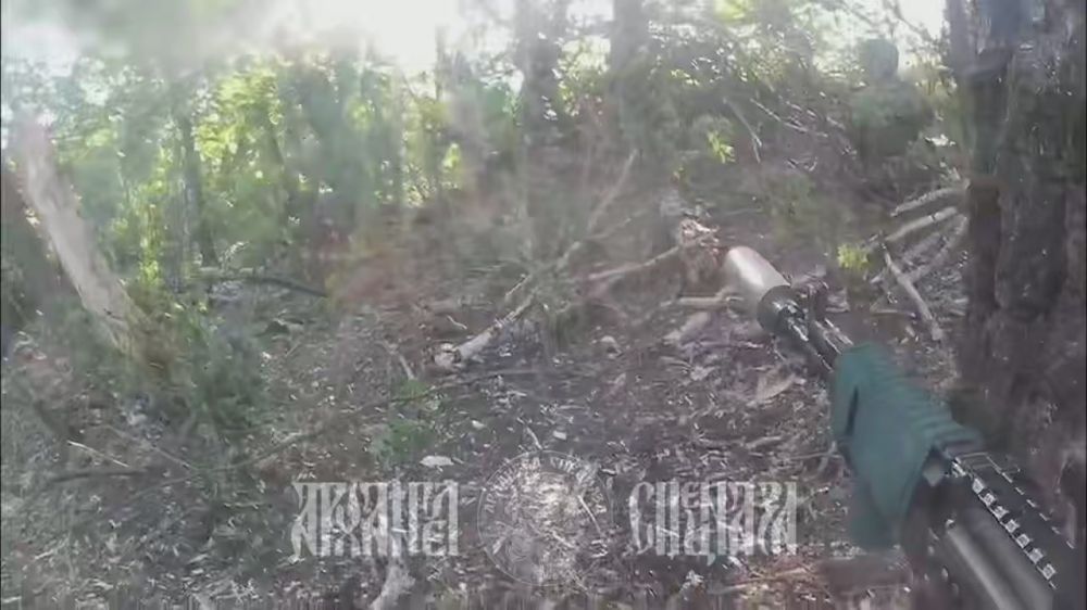 ���� �� �������: ������� �����������, �������� ������� ���������� �� ���������