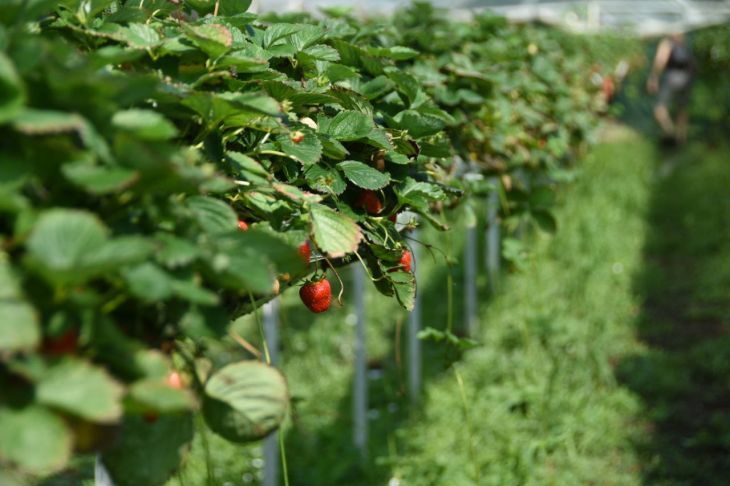 ����������� ��������� ���������, ���������� � �������� ����� � ���������� �������