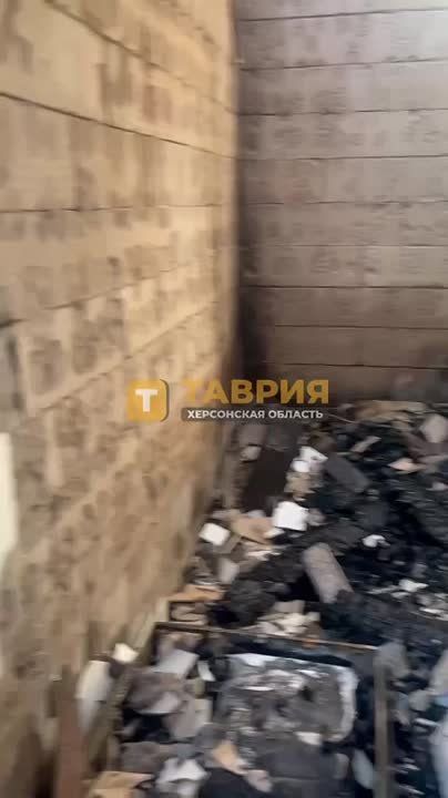 ����������� � ���� ������ ���������� ������� ����������� ����� ���