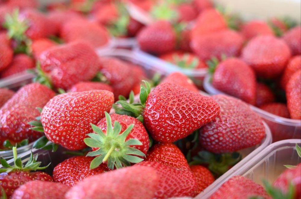 ����������� �����-������������� ������� ���� ���� ��ʻ ��������� ���������, ���������� � �������� ����� � ���������� �������