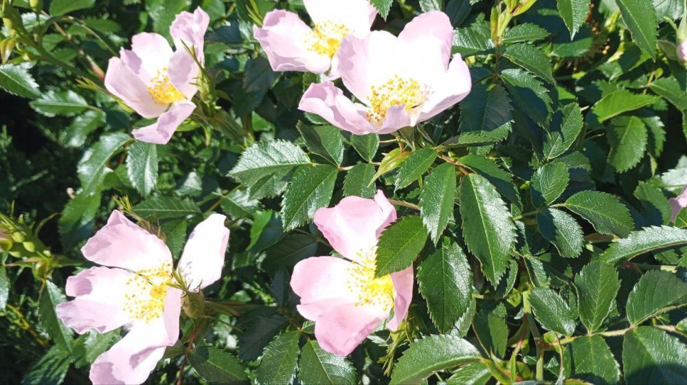 � ������ �����, ������! � ������� ������� �����!