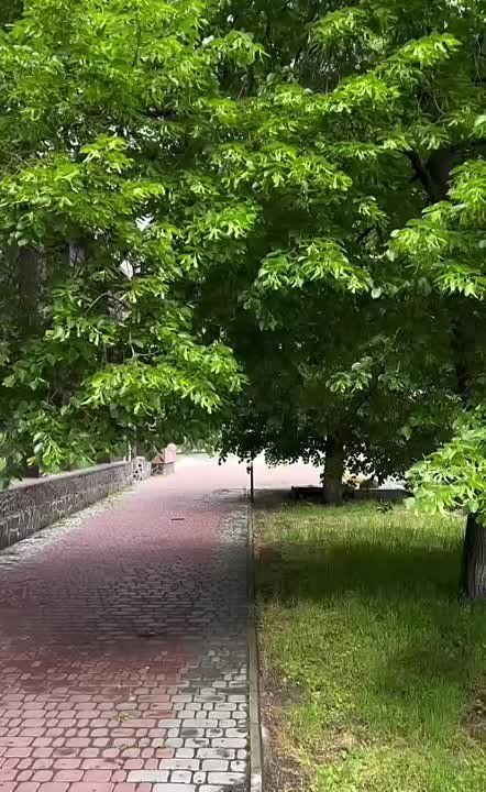 ������ ����, ������!. ��������� �� ������.��