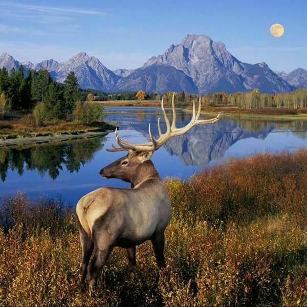 . ����� , ������������� ����� , ��� �������